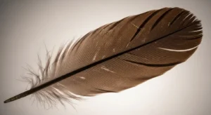 cultural beliefs about brown feather symbolism