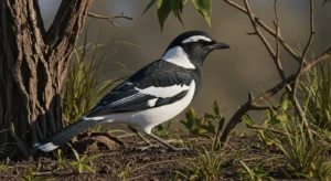 practical ways to connect with bird wisdom