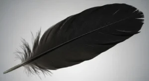 black feather symbolism in different cultures