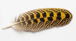 northern flicker symbolism