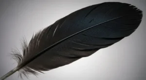 single black feather meaning