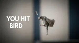 what does it mean when you hit a bird