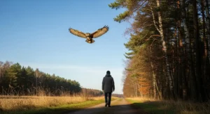 what does it mean when an owl crosses your path explained!