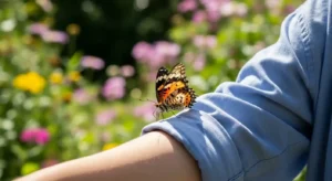 what does it mean when a butterfly flies around you