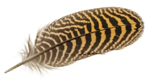 yellow flicker spiritual meaning