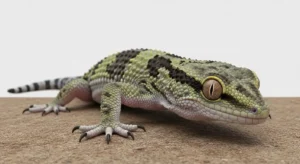 dead gecko spiritual meaning