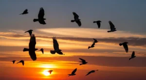 flock of birds spiritual meaning