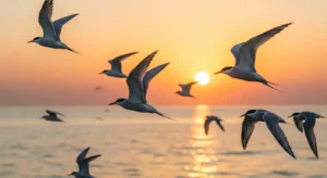 spiritual meaning of birds flying in front of you